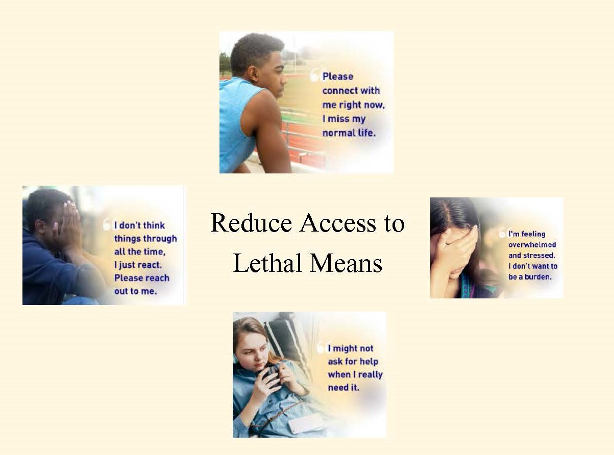 Reduce Access to Lethal Means